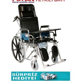 Resim Poylin P615 Klozetli Banyo Tuvalet Duş Tekerlekli Sandalyesi 