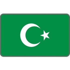 Resim Sevenkardeşler Cg Şeffaf Yeşil Bayrak Far Filmi 