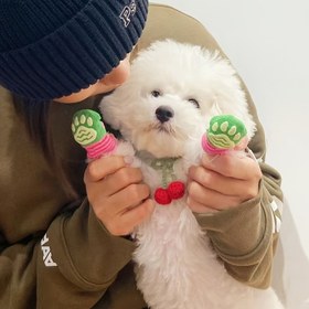 Resim Pet Çorapları Kedi Çorapları Dış Giyim Yaz Kedi Ayak Kapakları Anti-Düşme Anti-Çizik Açık Köpek Ayakkabıları Kaymaz Nefes Alabilir 