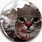 Resim Anime-Inspired Cat Brooch Pin - Yuvarlak, Şık Kertenkele Kask Tasarımı ile Yaratıcı Yaka - Öğrenciler, Arkadaşlar ve İş Arkadaşları için İdeal Hediye 