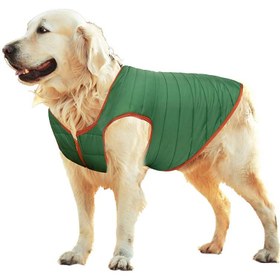 Resim Köpek Montu M Beden 