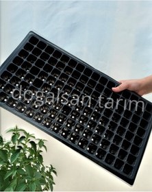 Resim 20 Adet Fide Viyol 128 Göz Fide Viyolü Fide Viyolleri Fidelik 