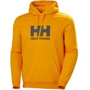 Resim Helly Hansen HH Logo Hoodie Helly Hansen