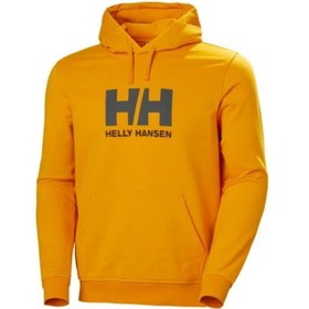 Resim Helly Hansen HH Logo Hoodie 