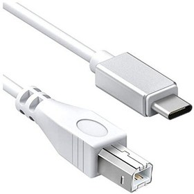 Resim Daytona ADS-501 3in1 USB B to Micro USB - Lightning - Type-C Enstrüman Kablo Çevirici OTG Kablo 