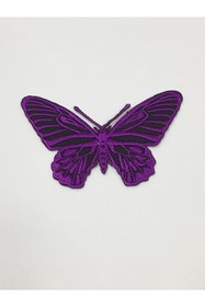 Resim karantuhafiye Ütü Ile Yapışan Kelebek Arma 