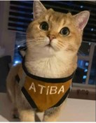 Resim Kedi Köpek Göğüs Tasma Seti Isimli 