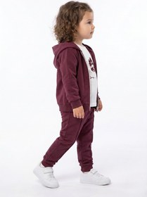 Resim Toontoy Kids Toontoy Kız Çocuk 3'lü Eşofman Takımı Uzun Kollu Bisiklet Yaka Nakışlı T-shirt - Kapüşonlu Fermuarlı Hırka- Beli Paçası Lastikli Eşofman Altı 25042 Mor 