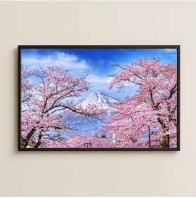 Resim Fuji Dağı Ve Sakura Ağaçları Manzara Dijital Fotoğraf Pleksi Tablo 