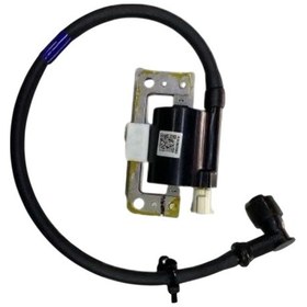 Resim Tvs Apache Rtr 200 Ateşleme Bobini Nf060400 