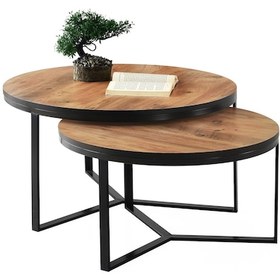 Resim Yaprak Ikili Zigonlu Orta Sehpa (530189875) 