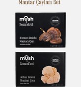 Resim Mush x SemraErol Reishi & Aslan Yelesi Mantarı Çayı 