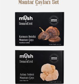 Resim Mush x SemraErol Reishi & Aslan Yelesi Mantarı Çayı 