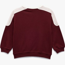 Resim Kız Bebek Şardonlu Pamuklu Uzun Kollu Renk Kontrastlı V Yaka Baskılı Sweatshirt 