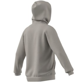 Resim adidas Erkek Bej Sweatshirt M COLLEGIATE HD JM6424 