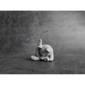 Resim Genel Markalar Minyatür Kedi - Kendisini Yalayan Kedi 