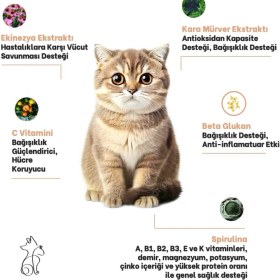 Resim Kahu Naturals Immunovital Paste, Kediler için Bağışıklık Takviyesi, Ekinezya, Propolis, Karamürver, 100 ml 