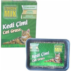 Resim Garden Mix Kedi Çimi 