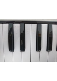 Resim Cremonia Cr32Bk Melodika 32 Tuşlu Siyah Renk Eva Çantalı 