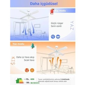 Resim Poyraz Tavan Vantilatörü Beyaz 107 cm 