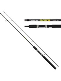 Resim Nature in nami 2 parça 270 cm 10-40 g spin olta kamışı 