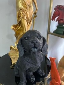 Resim Dekorarif köpek Heykeli Biblo 