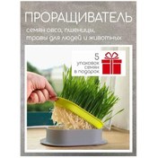 Resim Teltree Kedi Köpek Çim Bitirme Seti - Su Yetiştirme Tepsisi, 5 Tohum Paketi, Gri Ve Parlak Yeşil Abs Plastik 