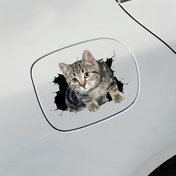 Resim Gerçekçi 3D Tekirli Kedi Araba Stickerı - Yırtık Delikten Bakın Sevimli Gri & Beyaz Kedicik Tasarımı, Dayanıklı Vinil Dekorasyon için Arabalar, Motosikletler, SUV'lar, Römorklar ve Pencereler - Çizilmeye Karşı Koruyucu Süs 