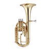 Resim John Packer JP172L Lacquer Tenor Horn Eb 