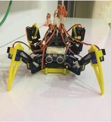 Resim Örümcek Robot Çift Renk Tarantula 