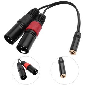 Resim Mykablo 3.5 Mm Stereo Dişi-2 Xlr Erkek Kablo 20 Cm 