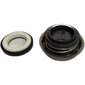 Resim Palmera Taş Keçe 1'' İki Zamanlı Su Motoru Salmastra Qgz25A 