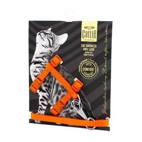 Resim Cattie Kedi Göğüs ve Gezdirme Tasma Takımı Turuncu 1x25-40 Cm 