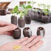 Resim 40 adet Tohum Başlatıcı Kapsülleri Hindistan Cevizi Taneleri 30mm Fide için, Sebze, Çiçek, Bonsai Ağacı için Bahçe Bitki Tohumu Başlatma Kiti (40 adet) 