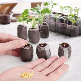 Resim 40 adet Tohum Başlatıcı Kapsülleri Hindistan Cevizi Taneleri 30mm Fide için, Sebze, Çiçek, Bonsai Ağacı için Bahçe Bitki Tohumu Başlatma Kiti (40 adet) 