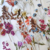 Resim 40 Adet Karışık Çiçek ve Kelebek Çıkartmaları - Plastik Kendinden Yapışkanlı Bitki Temalı Süslemeler, Kristal Parlak Kaplama, Vintage Botanik ve Böcek PET Çıkartmaları, Scrapbooking ve El Sanatları İçin 