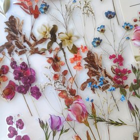 Resim 40 Adet Karışık Çiçek ve Kelebek Çıkartmaları - Plastik Kendinden Yapışkanlı Bitki Temalı Süslemeler, Kristal Parlak Kaplama, Vintage Botanik ve Böcek PET Çıkartmaları, Scrapbooking ve El Sanatları İçin 