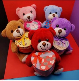 Resim Kutulu Ayıcık 01 