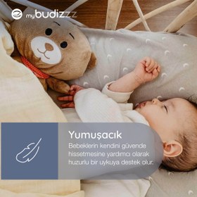 Resim Budizzz Uyku Arkadaşı Ayıcık 