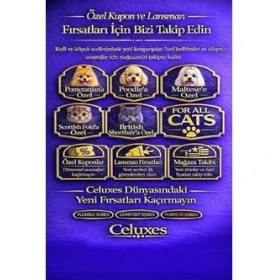 Resim Hairball Kedi Malt Macunu 100 G - Scottish & British 