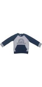 Resim Fenerbahçe Fb Logo Sarı-Lacivert Bebek Sweat Hediyelik Ahşap Kutulu 