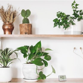 Resim TFA Dostmann Dijital Termo-higrometre Ortam Nem Ve Sıcaklık Ölçer 30.5055.02 