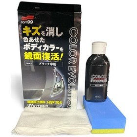 Resim Color Evolutıon Sft06 Soft 99 Siyah Cila 100ml 