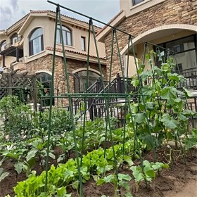 Resim 27 adet dayanıklı metal tırmanma bitkisi bahçe çivileri - Tomatlara, Üzümlere, Salatalara ve Üzüm Meyvelerine Uygun Sarma Çubukları - Seracılık ve Açık Hava Bahçeciliği için Temel 