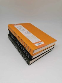 Resim 239-fsk 13x21 Gizli Spiralli Eski Ajanda 3'lü Karışık 