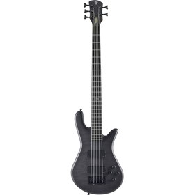 Resim Spector NS Pulse II 5 Telli Bas Gitar (Black Stain Matte) 
