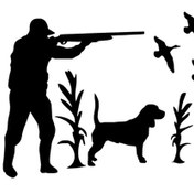 Resim Kuş Avlayan Avcı - Araç, Oto, Laptop, Duvar Uyumlu Sticker 50 40 Cm 