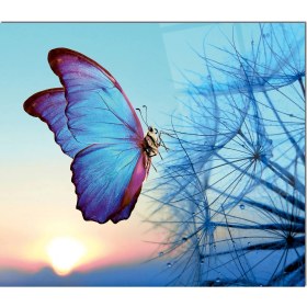 Resim Olinpa Cam Ocak Arkası Koruyucu | Mavi Kelebek 