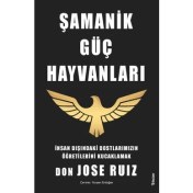 Resim Şamanik Güç Hayvanları 