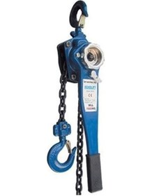 Resim Echolift Hubzug 6 Ton 1.5 M 